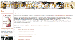 Desktop Screenshot of opificiodellepietredure.it